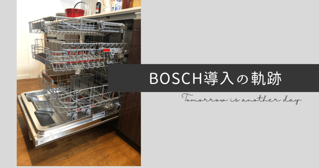 The-trajectory-of-introducing-Bosch